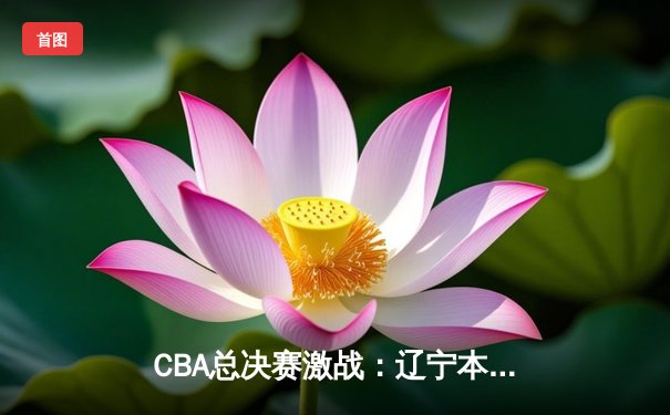 CBA总决赛激战：辽宁本钢加时险胜广东宏远，总比分2-1领先